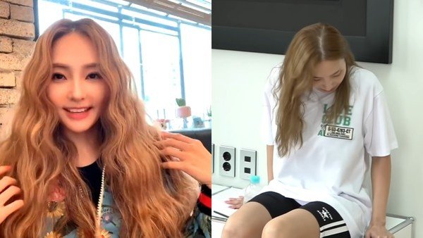 韓彩英坐壞櫃子