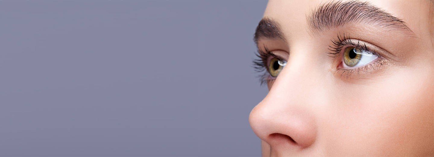 鼻中膈延長支架Septal Extension