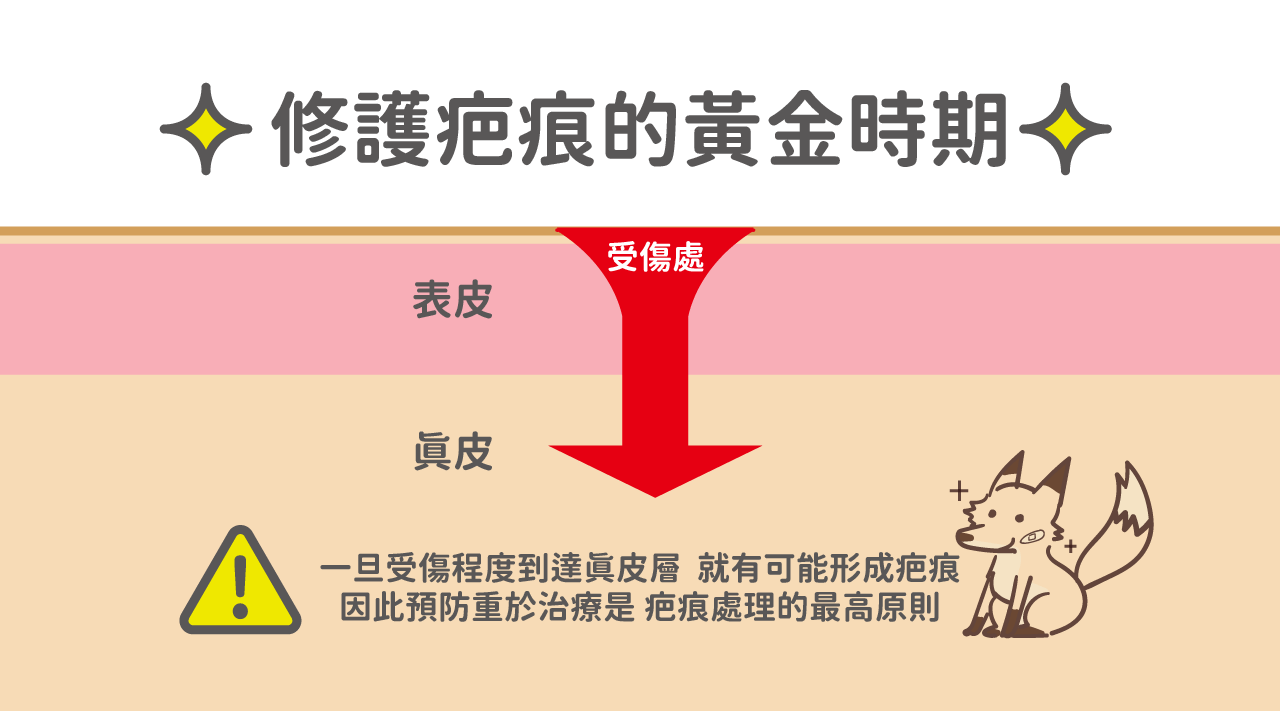 修護疤痕的黃金時期