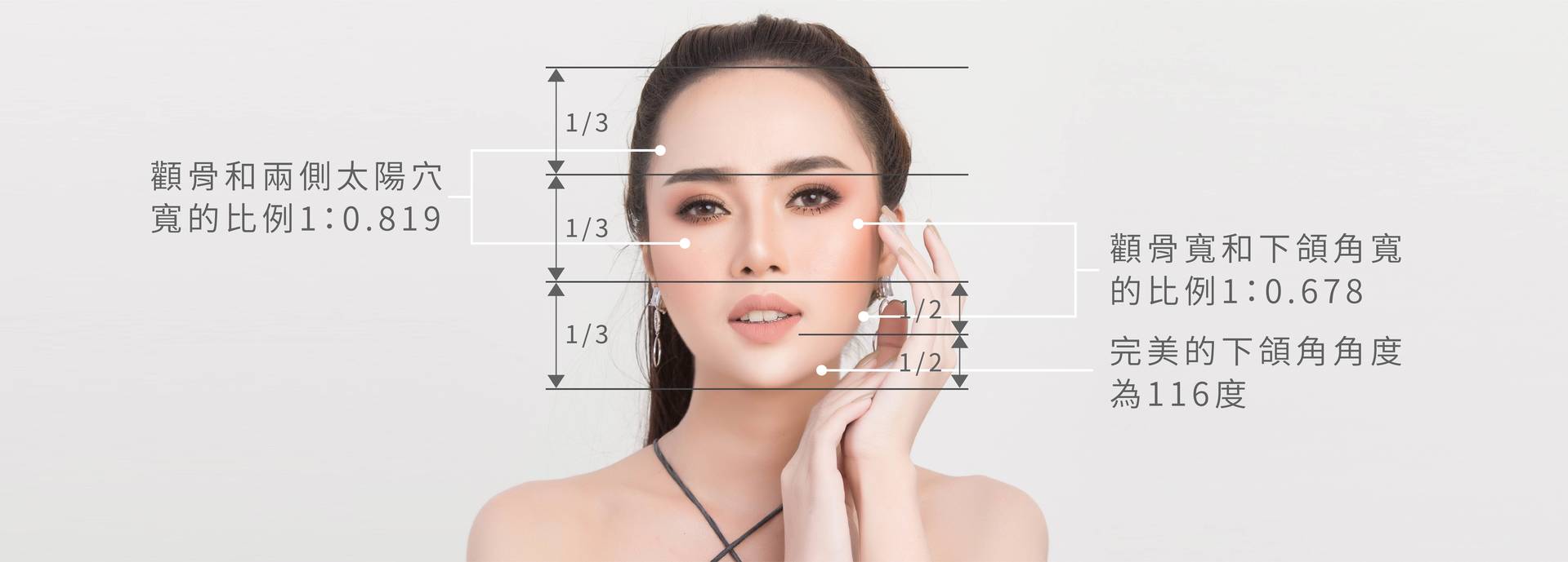 完美臉型比例