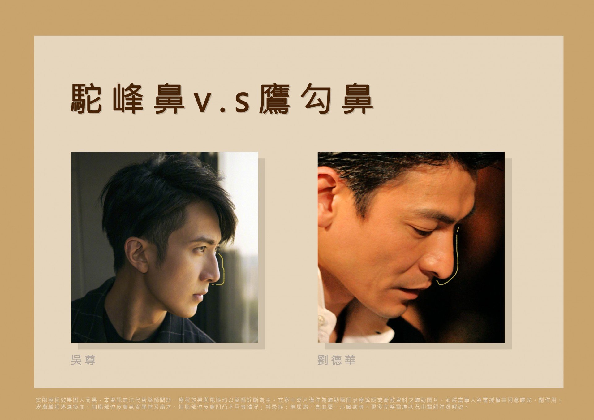 駝峰鼻vs鷹勾鼻